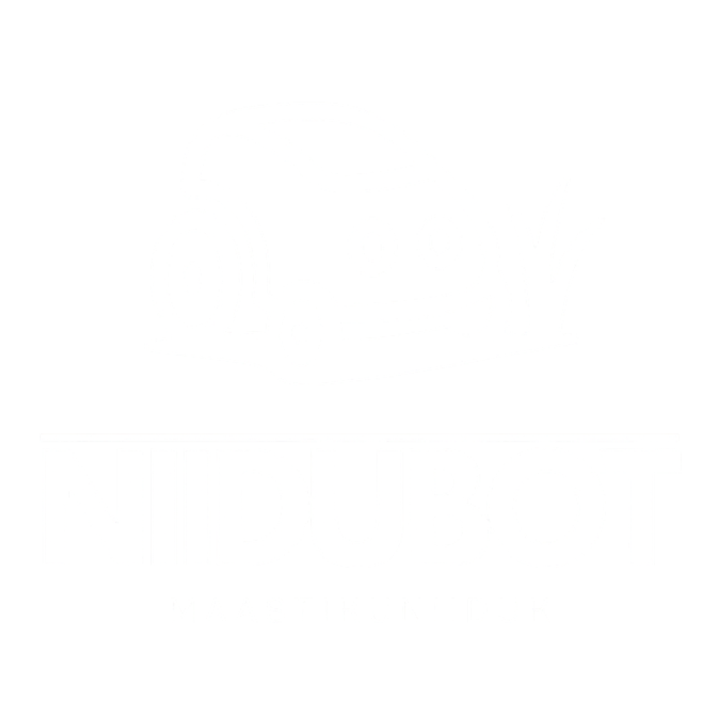niidubot.ee